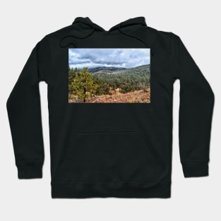 Snow In The Mountains Hoodie